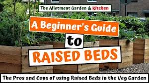 Raised Beds Vs Ground Beds Which Is