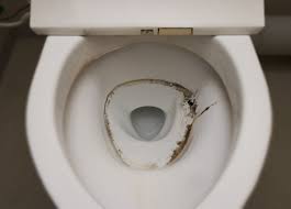 Mold In Toilet How To Remove Mold In