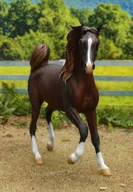 Arabian Mare Liver Chestnut Horse