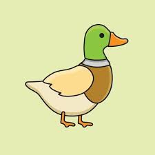 Duck Drawing Vector Art Icons And