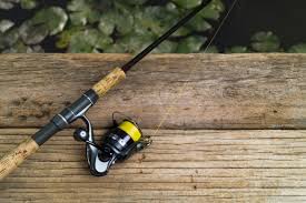 11 Best Fishing Rod And Reel Combos For