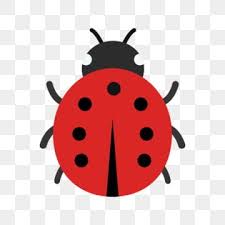 Vector Lady Bug Icon Bug Icons