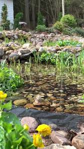 Garden Stream Japanese Garden Alpine