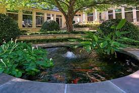 Koi Pond Ideas For Your Garden