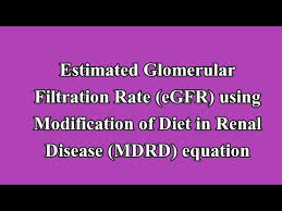 Estimated Glomerular Filtration Rate