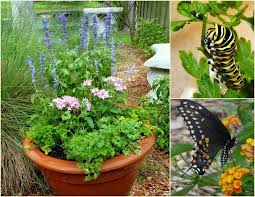 How To Make Your Own Erfly Planters