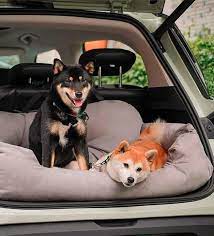 Dog Car Seat Bed With Seat Belts