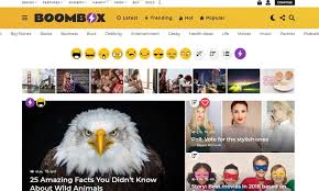Reddit Style Wordpress Themes 2025