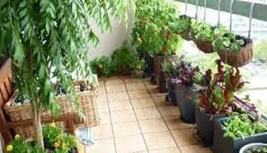 How To Grow A Balcony Garden 5 Tips