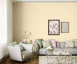 Cream Silk 7955 House Wall Painting