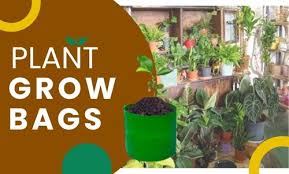 Benefits Of Using Grow Bags For Plants