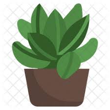 2 404 Succulent Icons Free In Svg