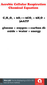 Biology Equations Formulas 5 0 Free