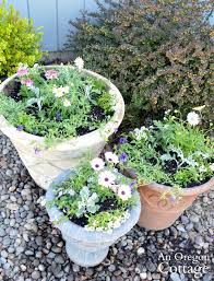 3 Container Gardening Ideas Tips An