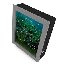 Wall Mounted Aquarium 3d Model By Cgaxis
