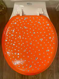 Silver Bling Hand Painted Toilet Seat