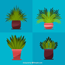 Page 7 Plant Pot Icon Images Free