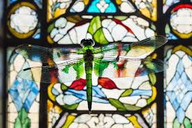 Stained Glass Dragonfly Playground