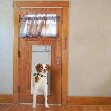 Fully Automatic Dog And Cat Pet Door