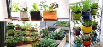 Balcony Vegetable Garden Ideas