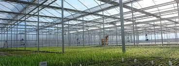 Commercial Greenhouse Structures Ggs