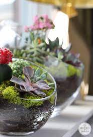 Succulent Garden Bowl