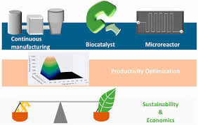 Biocatalytic Continuous Manufacturing