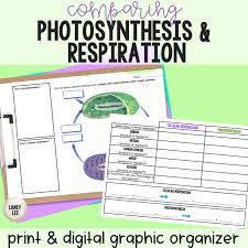 Respiration Graphic Organizer