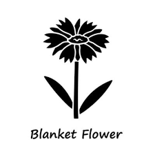 Blanket Flower Glyph Icon Gaillardia
