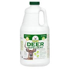 Bobbex 0 5 Gal Deer Repellent