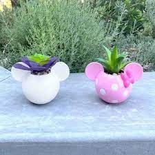 Minnie Mouse Icon Succulent Set