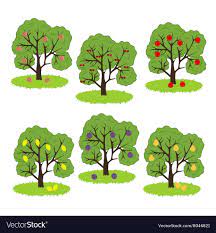 Fruit Tree Icon Royalty Free Vector