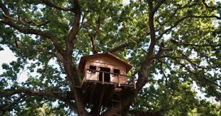 Tree House Stock Footage Royalty Free