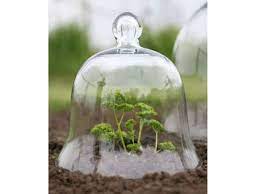 Victorian Style Glass Bell Jar Small