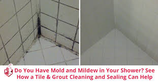 See How A Tile Grout Cleaning And
