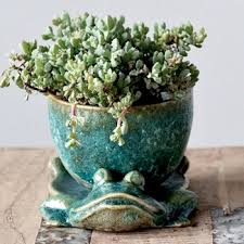 Verde Stoneware Pot On Frog Plate 8w 6d 5h