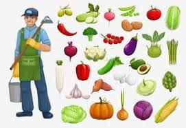 Vegetable Garden Icon Vector Art Icons
