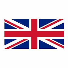 England Flag Printing Service At Rs 100