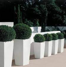 Rectangular Fiberglass Planters