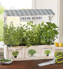 New For Mother S Day Herb Garden Trio Herb Garden Scissors 1 800 Flowers Plants Delivery 157209ln