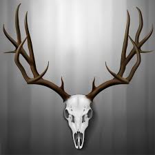 Premium Vector Realistic Deer Skull