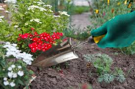 A Gardening Business