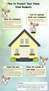 How To Protect Your Home From Rodents