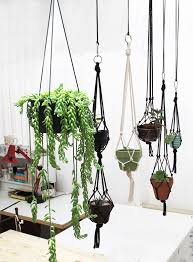 Hanging Succulent Garden Skinny Laminx