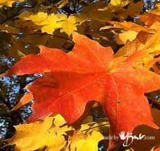 Metallic Concrete Leaf Trivet Made By