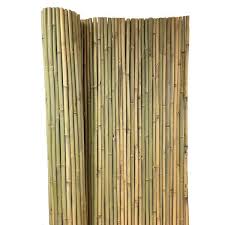 Bamboo Fence Bwf 48