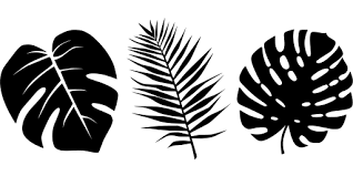 Tropical Leaves Palms Free Svg Image