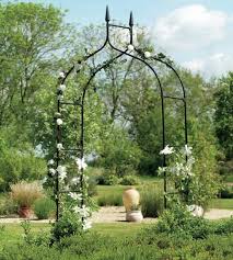 10 Rose Arch Ideas Which Roses Are