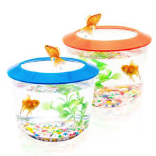 Goldfish Tank Small Fish Tanks And