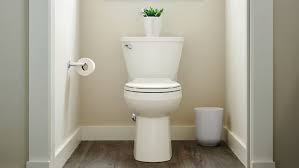 The Parts Of A Toilet A Complete Guide